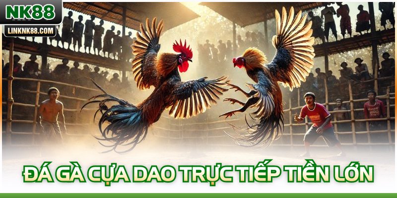 Đá Gà Cựa Dao Trực Tiếp Tiền Lớn - Cách Cá Cược Hiệu Quả