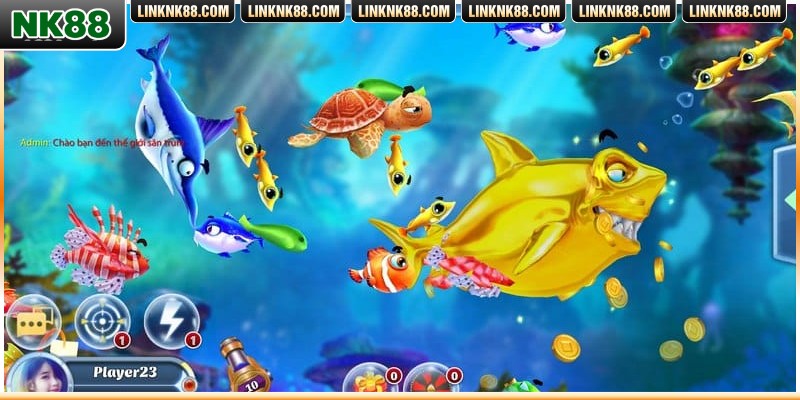 Phân bổ ngân sách hợp lý để tối ưu xu